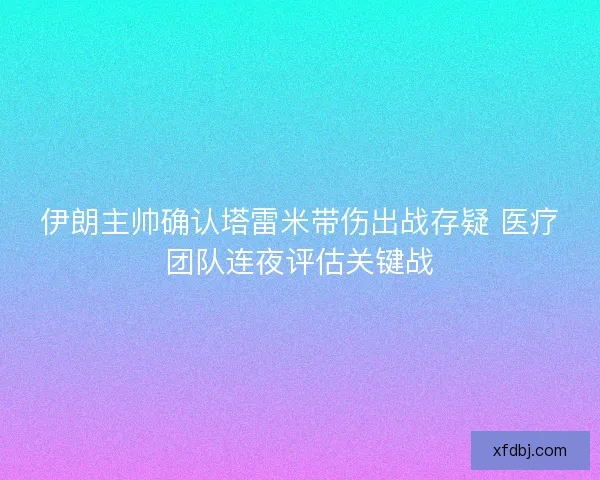 伊朗主帅确认塔雷米带伤出战存疑 医疗团队连夜评估关键战